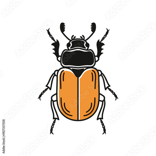 Black and Orange Beetle Insect Minimal Vector Illustration Isolated on White