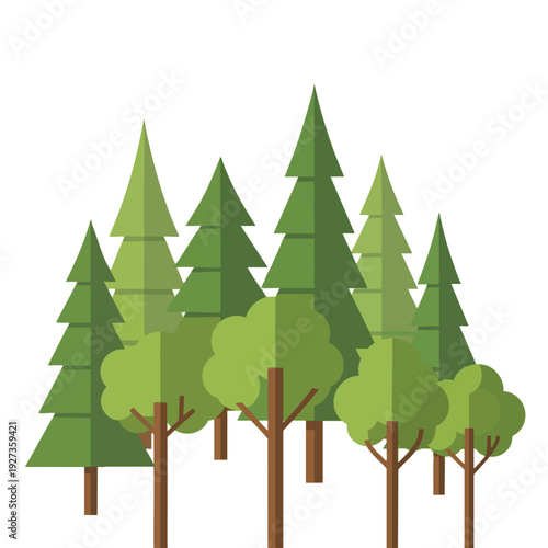 Serene Forest Landscape with Tall Coniferous and Deciduous Trees