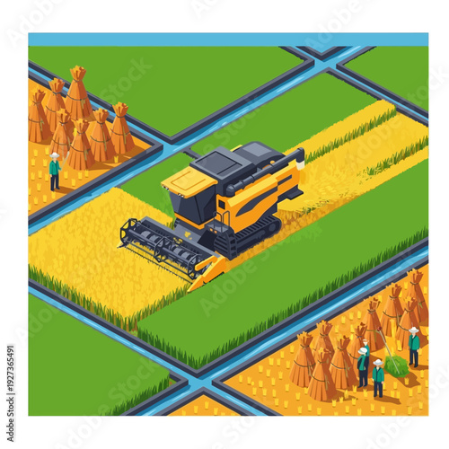 Harvesting wheat with a combine harvester in a field.