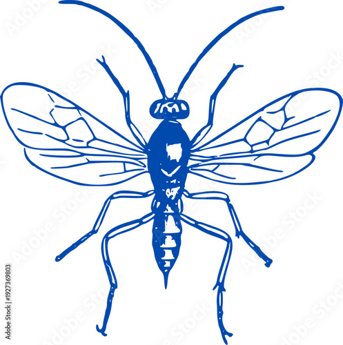 Wasp on white background. Black silhouette of a wasp on a white background, clean outline