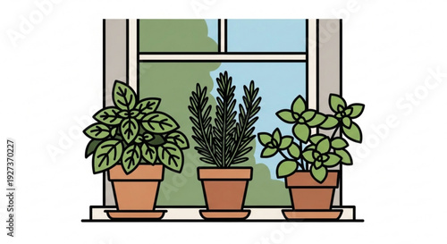 Three potted plants on a windowsill with a green wall and blue sky outside indoor gardening houseplants decorative pots
