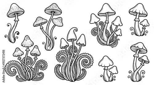 Detailed Whimsical Mushroom Black & White Line Art Illustrations Set