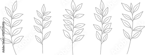 Black line drawings of leaf branches in a row