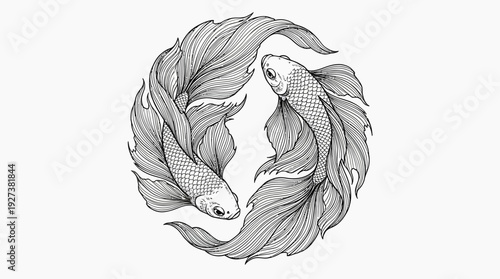 Elegant Betta Fish Yin Yang Line Art Illustration. Detailed Hand-Drawn Siamese Fighting Fish Symbolizing Balance & Harmony.