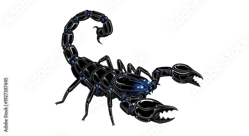 Black Scorpion with Curved Tail and Claws.