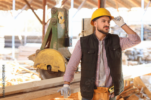 Portrait of young carpenter...