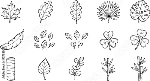 Foliage silhouette collection. set of botanical black elements in flat style isolated on white background. Vector
