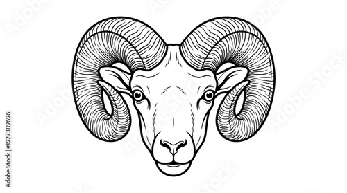 Ram Head Illustration Vector - Vintage Engraved Line Art Design