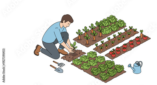 Man Planting Seedlings in Garden Beds.