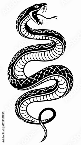 Snake illustration with open mouth and sharp fangs