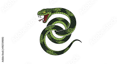 Green Snake Coiled with Open Mouth.
