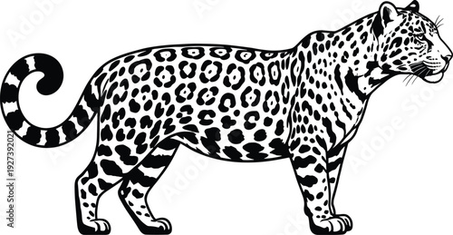 "Detailed silhouette illustration of jaguar with rosette spots, black vector artwork showing wild cat profile for wildlife, nature, education, design, and artistic projects"