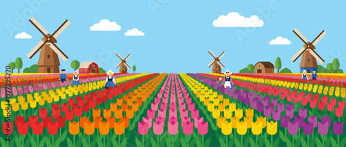 Flat vector illustration of a spring tulip festival in the Netherlands featuring rows of vibrant multi-colored tulips, traditional windmills, farm houses, and people in Dutch folk costumes.