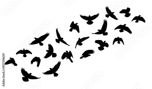 SEO Title
Flying Bird Silhouette Collection Vector Set Isolated Black Birds in Motion for Tattoo Design