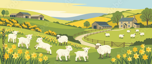 Flat vector illustration of a spring landscape with playful lambs and sheep grazing on a hillside farm among yellow daffodils, featuring rolling green hills, rustic farmhouses, and sunny sky.