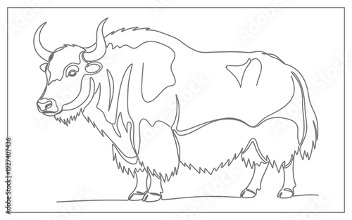 Minimalist single line drawing of a yak, clean vector illustration of the shaggy mammal with distinctive horns.