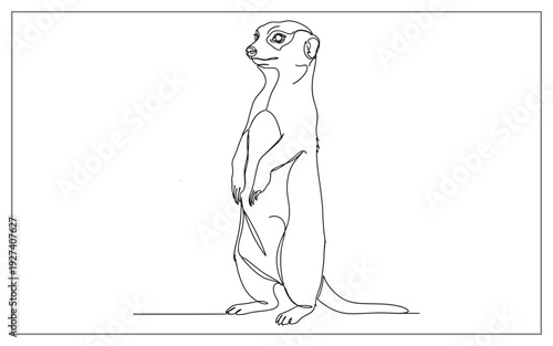 Alert meerkat standing tall on hind legs, captured in a clean single line drawing, isolated on a white background.