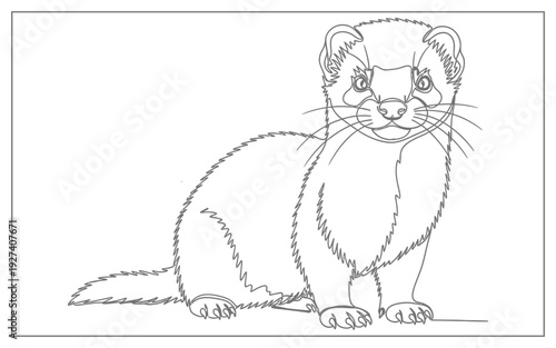 Minimalist outline drawing of a ferret, black ink sketch on white, perfect for logos, icons, or educational materials