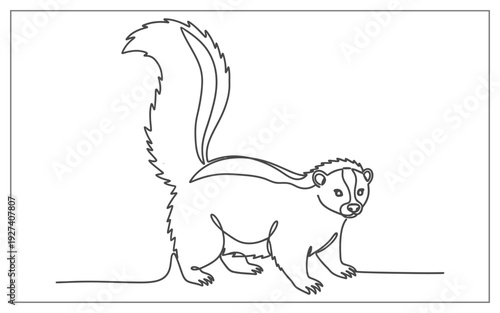 Continuous line art of a curious skunk walking forward, simple and modern illustration for graphic design.