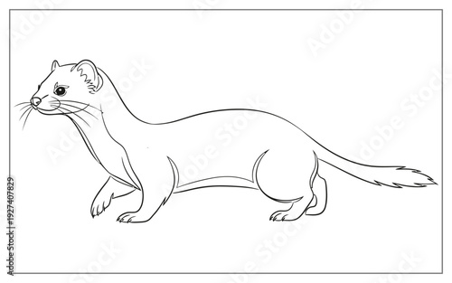 Minimalist line art illustration of a sleek ferret walking, simple black and white outline for design.