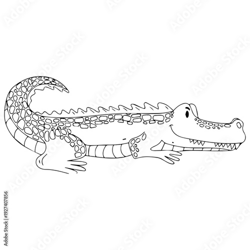 Playful Alligator Drawing