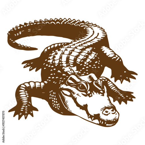 Aggressive Alligator Art