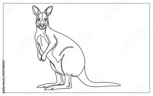 Full body one line drawing of a kangaroo, minimalist illustration capturing the essence of the Australian icon