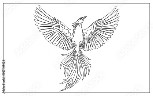 Elegant outline illustration of a phoenix with outstretched wings, symbolizing rebirth, renewal, and immortality.
