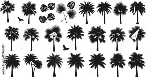 Large Collection of Tropical Palm Tree Silhouettes Featuring Monstera Leaves and Exotic Jungle Plants for Summer Vacation Island Beach and Botanical Nature Graphic Design Projects