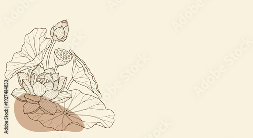 lotus flower line art, botanical illustration, beige background