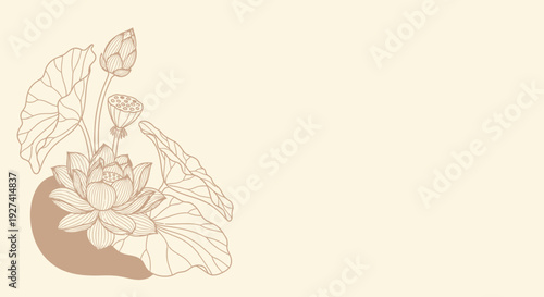 lotus flower illustration, beige background, botanical art