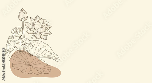 lotus flower illustration, beige background, botanical art, floral design