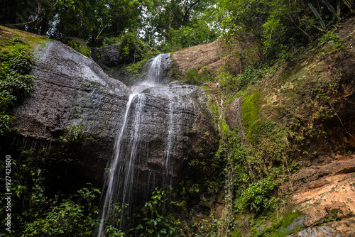 Water from a stream falls over rocks to form a small waterfall in the interior of an Atlantic Forest in Brazil