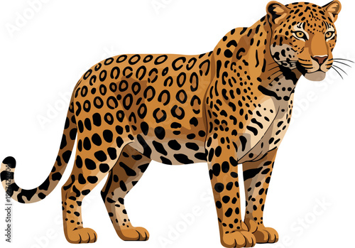 Jaguar Standing Realistic Vector Illustration Orange Black Spots