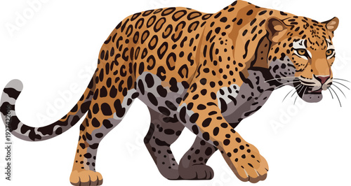 Jaguar Vector Illustration Vivid Orange Black Spots Walking Isolated