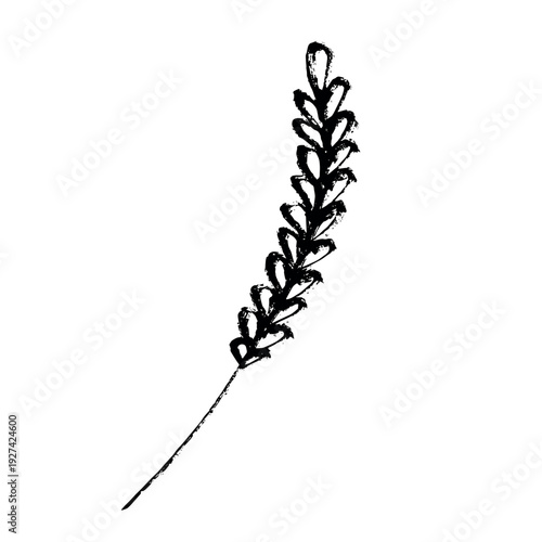 Hand drawn cereal wheat oat rye barley rice ears spikelet clipart Organic wheat bread agriculture farming harvest healthy food Single element for print packaging label design decor