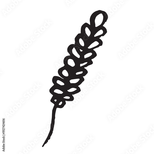 Hand drawn cereal wheat oat rye barley rice ears spikelet clipart Organic wheat bread agriculture farming harvest healthy food Single element for print packaging label design decor