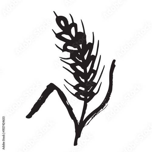 Hand drawn cereal wheat oat rye barley rice ears spikelet clipart Organic wheat bread agriculture farming harvest healthy food Single element for print packaging label design decor