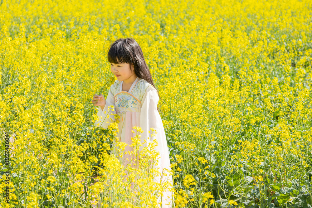 Fototapeta premium A girl in Hanfu in a spring rapeseed flower field