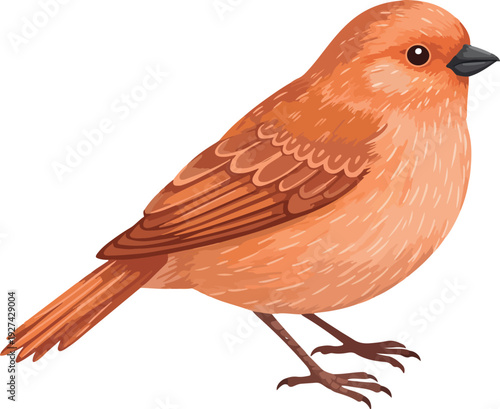 Orange Bird Vector Illustration Isolated on White Minimalist Flat Design