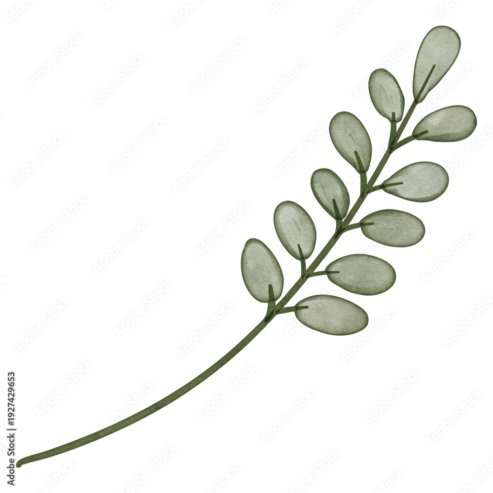 Obraz premium Watercolor Illustration of a Green Leafy Branch
