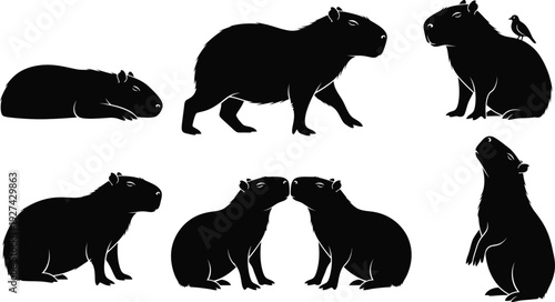 Capybara Silhouette Vector Set - Diverse Poses of the Giant Rodent Including Walking, Sitting, Standing, and Social Interaction Isolated on White Background for Wildlife and Nature Design