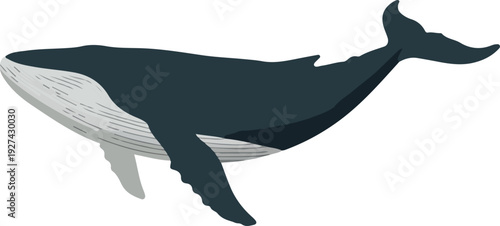 Pixel Art Blue Whale Isolated Object Minimal Illustration Simple Vector