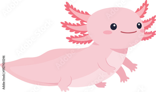 Pink Axolotl Minimal Illustration Cute Animal Cartoon Isolated White