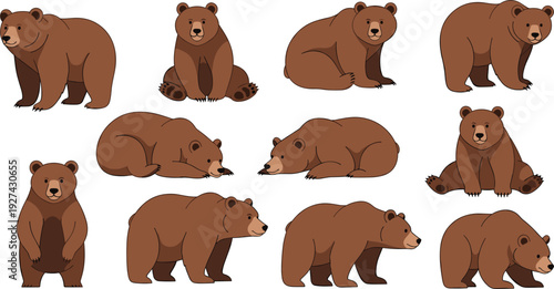 Brown bear grizzly character vector set in various poses including standing sitting sleeping and walking isolated on white background for wildlife nature design.