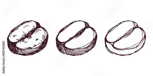 Set of hand drawn fresh roasted coffee bean Arabica robusta seed doodle Single element for design print packaging label decor