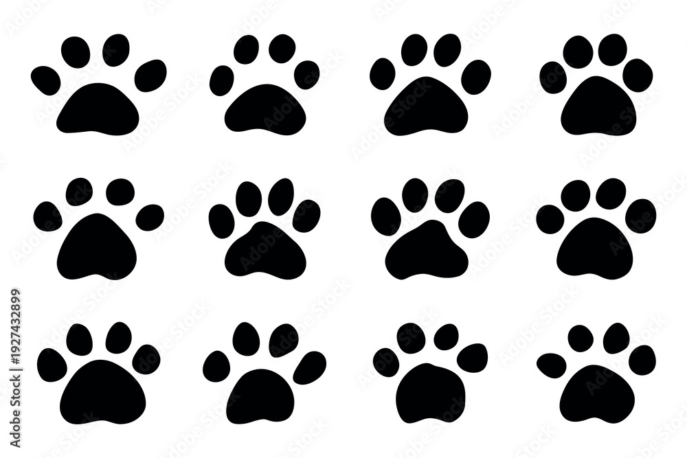 Fototapeta premium Set of hand drawn cute cat's paw Cat, dog, animal, pet, puppy, bear, wolf, tiger paw clipart in doodle style For print, web, design, decor, greeting cards, children's prints