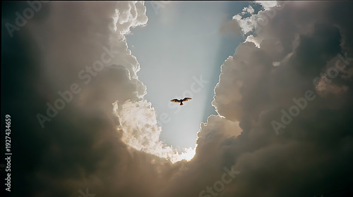 A bird soaring through a dramatic sky, framed by fluffy clouds. The sun peeks through, creating a stunning light effect