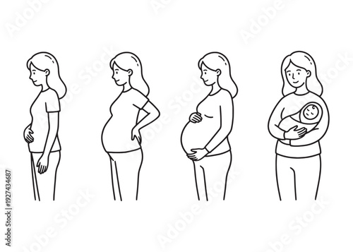 Pregnancy stages set, illustration in doodle style, isolated on transparent background