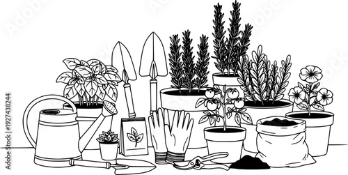 A diverse set of gardening essentials and live potted plants for cultivating a thriving home garden 